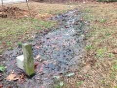 Septic Backing Up Repair